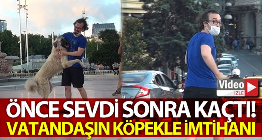(Özel) Önce sevdi, sonra kaçtı: Taksim’de vatandaşın köpekle imtihanı