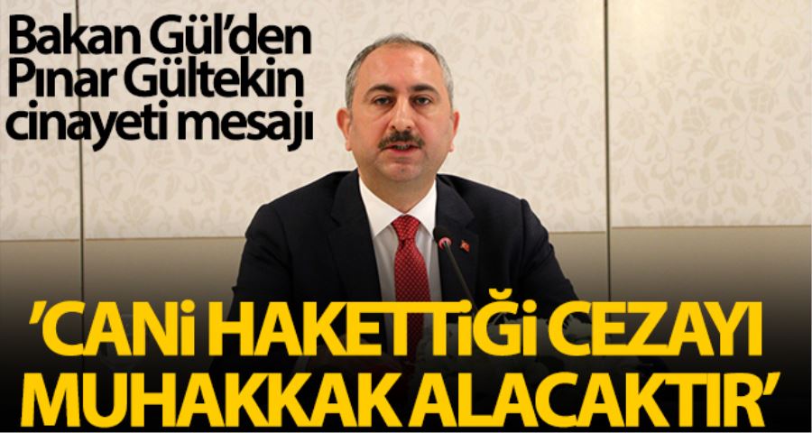 Bakan Gül: 