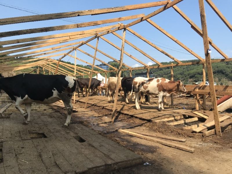 Vatandaş kurbanlık almaya gelirken, besici gitmeye hazırlandı
