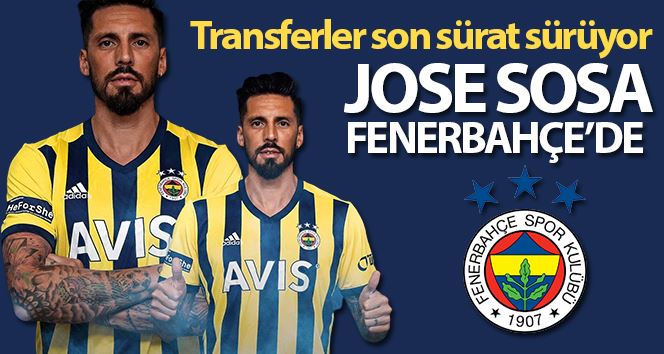 Jose Sosa, Fenerbahçe’de