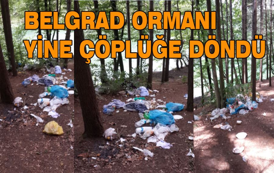Belgrad ormanı yine çöplüğe döndü