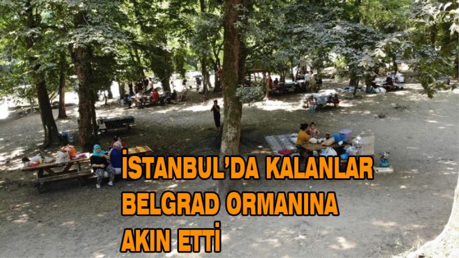 Kurban Bayramı’nı İstanbul’da geçirenler Belgrad Ormanı’na akın etti