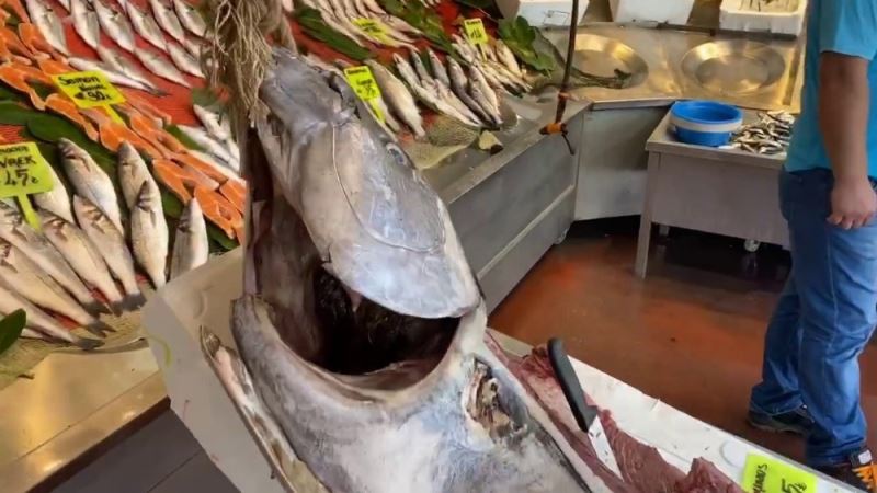 Yeni sezonun ilk balıkları tezgahlarda
