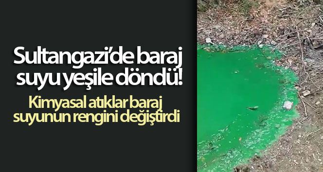 (ÖZEL) Sultangazi’de baraj suyu yeşile döndü