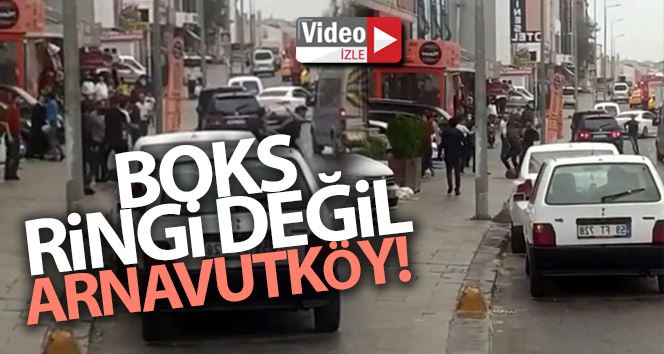 (ÖZEL) Boks ringi değil Arnavutköy