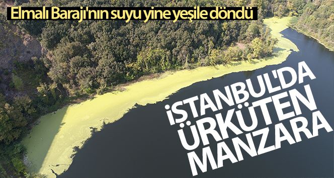 (Özel)  İstanbul’da ürküten manzara; Elmalı Barajı’nın suyu yine yeşile döndü