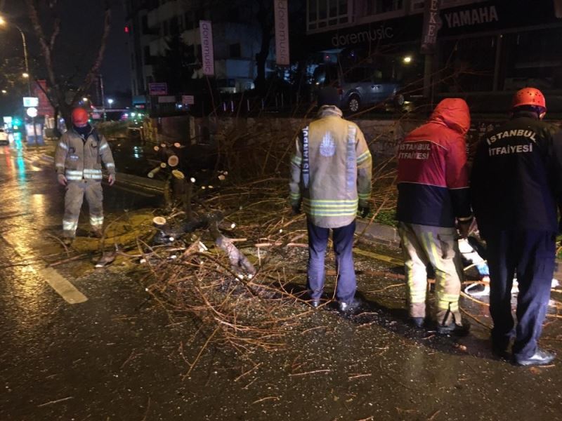 Bağdat Caddesi’nde şiddetli sağanak ve rüzgar nedeniyle ağaç devrildi
