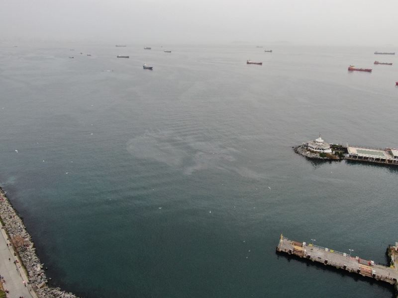 (Özel) Hamsi avının yasaklanmasının ardından Marmara Denizi’nde dev petrol sızıntısı görüntülendi
