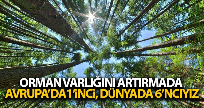 (Özel) Türkiye orman varlığını artırmada Avrupa’da 1’inci, dünyada 6’ncı