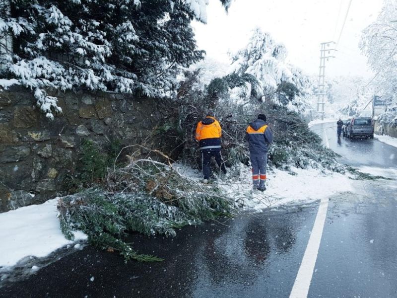 Maltepe’de 250 kişilik ekiple kar seferberliği
