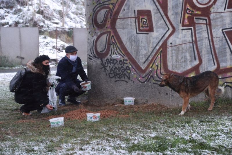 Gaziosmanpaşa’da sokak hayvanları karda sahipsiz kalmadı
