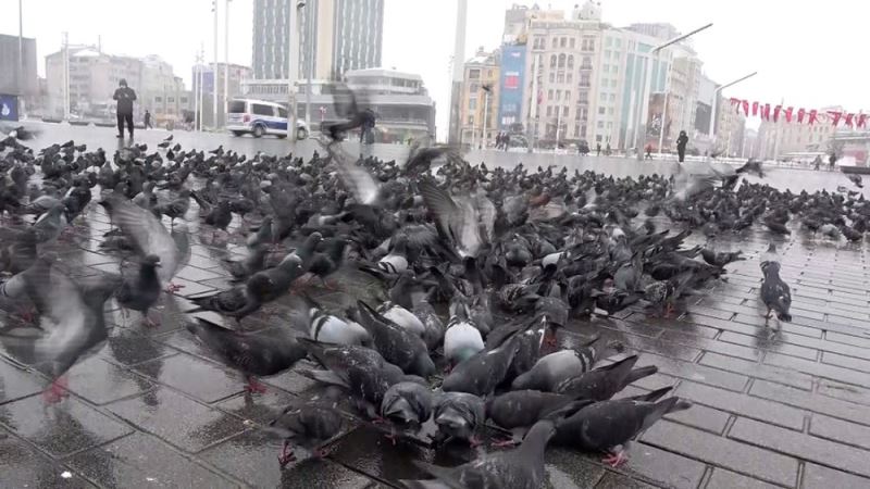 Beyaza bürünen Taksim kuşlara kaldı
