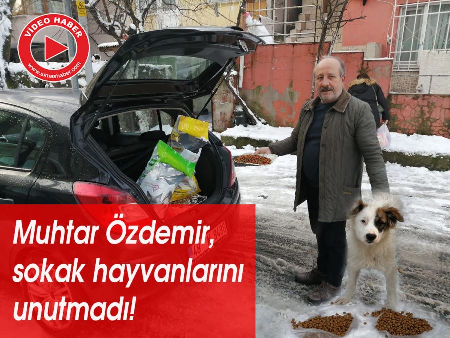 Çayırbaşı Muhtarlığı Sokak hayvanlarını unutmadı