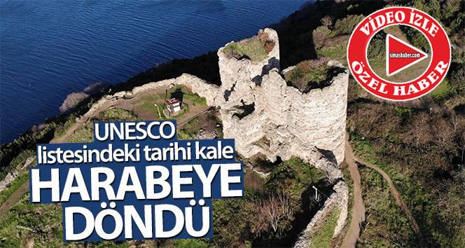 (Özel) UNESCO listesindeki tarihi kale harabeye döndü