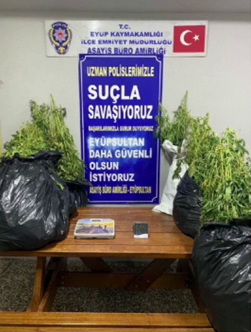 İstanbul’da 22 kilo marihuana ele geçirildi