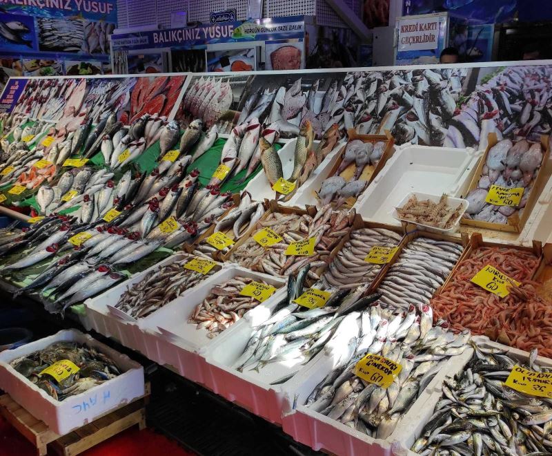 Tezgahlarda lüfer bolluğu devam ediyor
