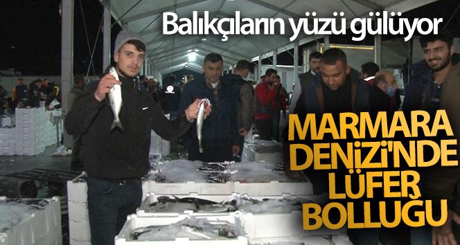 (ÖZEL) Marmara Denizi’nde lüfer bolluğu balıkçıların yüzünü güldürdü