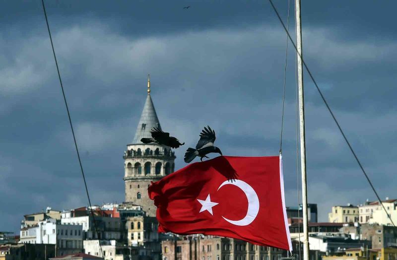Kuşlar fırtınadan korunmak için Türk bayrağına tutundu
