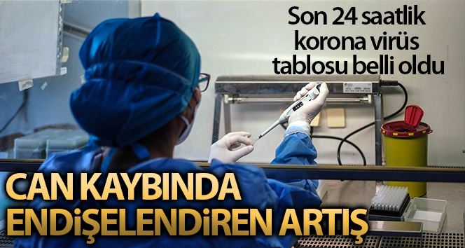 Son 24 saatte korona virüsten 203 kişi hayatını kaybetti