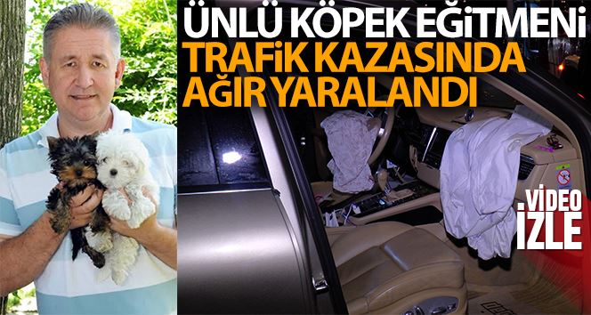 Ünlü köpek eğitmeni trafik kazasında ağır yaralandı