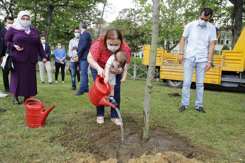 Kağıthane’de 2019 Nisan’ından bugüne kadar 23 bin 800 ağaç dikimi gerçekleştirildi
