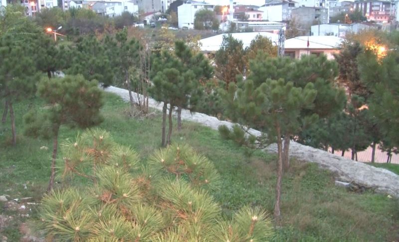 Cami bahçesinde yeni doğmuş bebek cesedi bulundu
