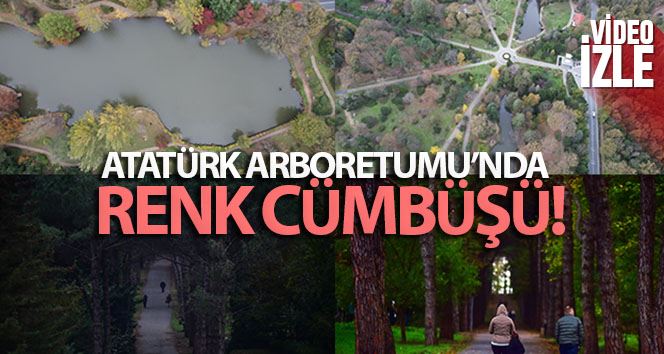 Atatürk Arboretumu’nda renk cümbüşü