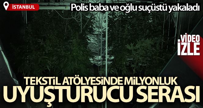 İstanbul’da tekstil atölyesinde milyonluk uyuşturucu serası: Kağıthane polisi sera kuran baba ve oğlunu yakaladı