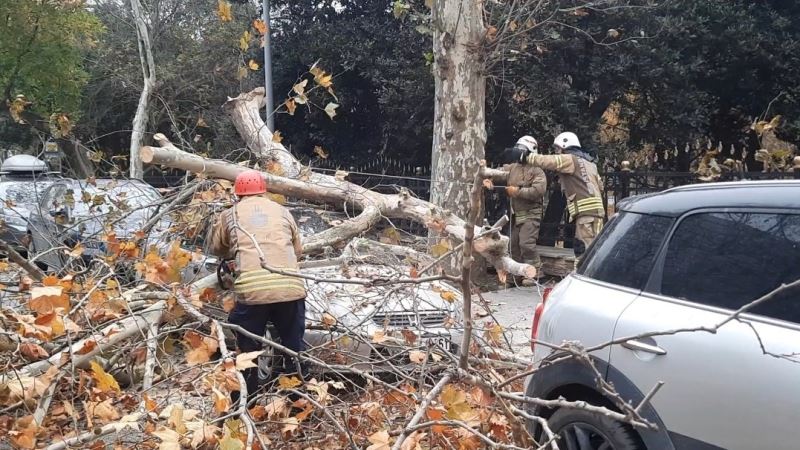 Beşiktaş’ta şiddetli rüzgarla devrilen ağaç, otomobilin üzerine düştü