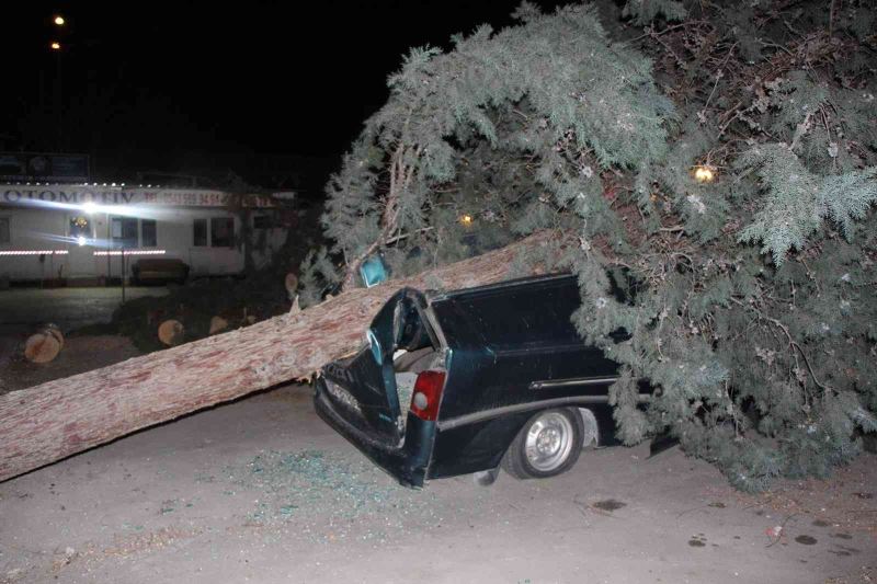 Amasya’da fırtınanın söktüğü ağaç, minibüsün üstüne devrildi
