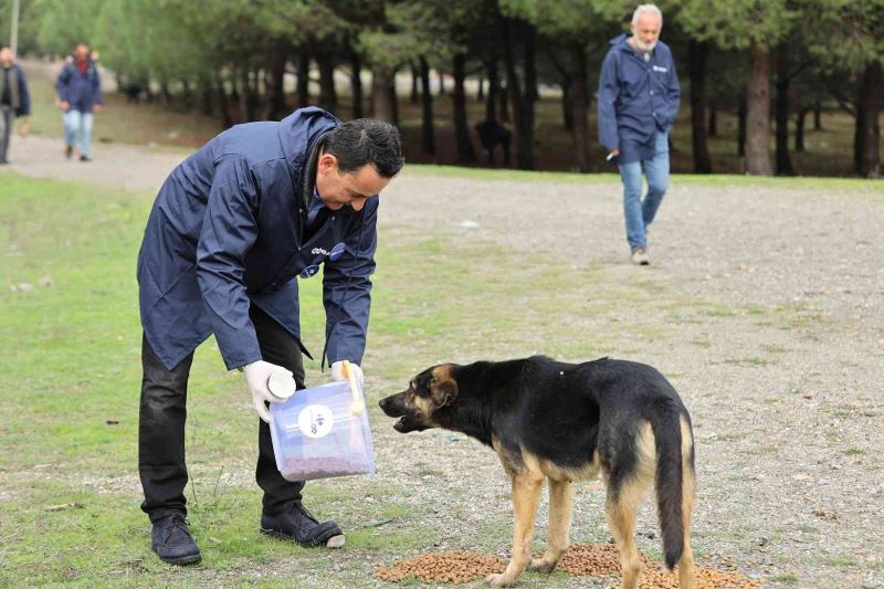 Patili dostlara 1 ton mama yardımı yapıldı
