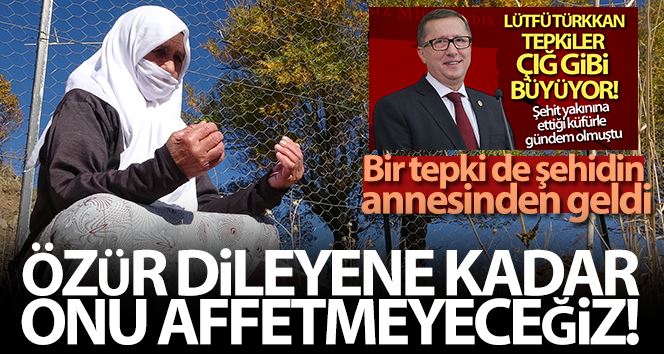 İYİ Partili Lütfü Türkkan küfür etmişti, bir tepki de şehidin annesinden geldi