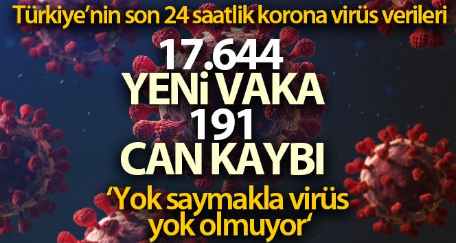 Sağlık Bakanlığı, Türkiye