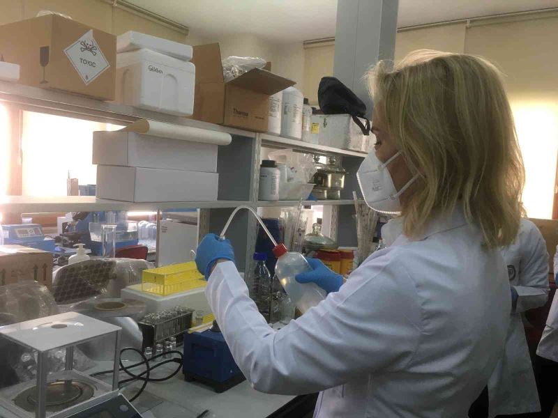 Korona virüsle mücadelede ilaç hamlesi: Faz- 2 çalışması tamamlandı
