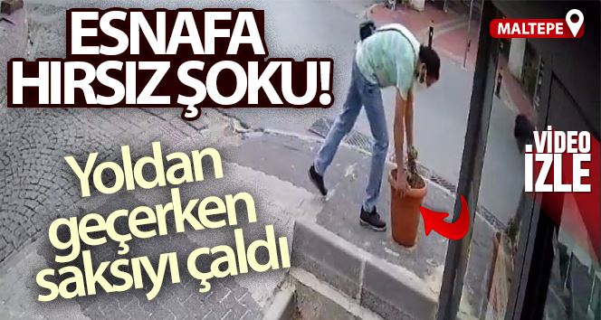 Maltepe’de esnafa hırsız şoku: Yoldan geçerken saksıyı çaldı