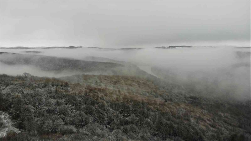 Şile ormanları kara ve sise büründü