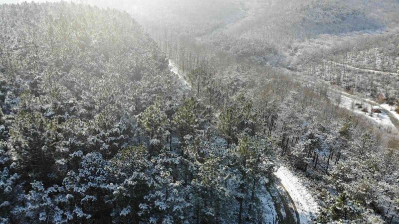 Kar sonrası, Kemerburgaz Ormanları’nda masalsı görüntüler
