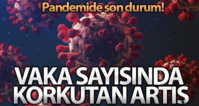 Son 24 saatte korona virüsten 184 kişi hayatını kaybetti