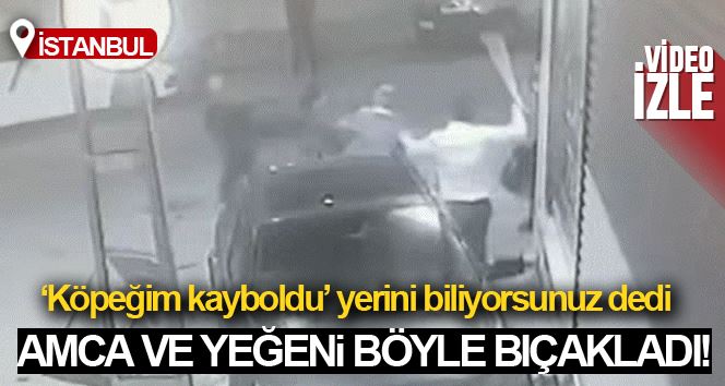 Esenyurt’ta “köpeğim kayboldu” bahanesiyle amca ve yeğenin bıçaklanma anı kamerada