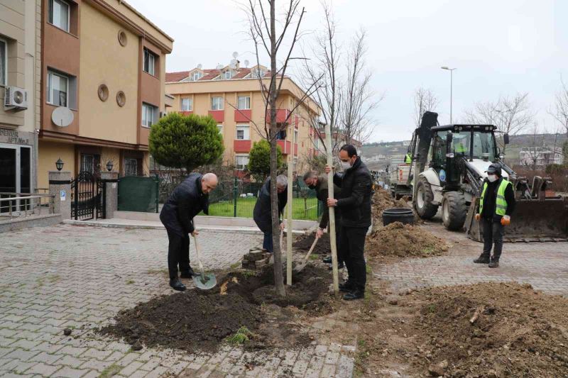 Büyükçekmece 2022 yılına 22 ıhlamur ağacı dikerek girdi
