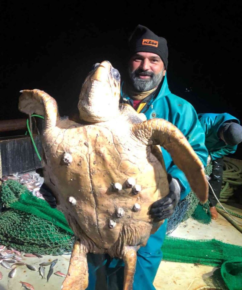 Marmara’da ağlara takılan caretta caretta balıkçıları şaşkına uğrattı
