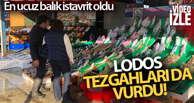 Lodos tezgahları da vurdu, en ucuz balık istavrit oldu