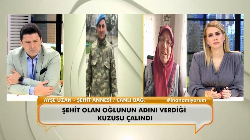 Şehit oğlunun ismini verdiği kuzu çalındı
