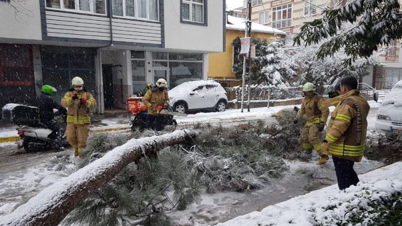 Sancaktepe’de devrilen ağaç yolu kapadı
