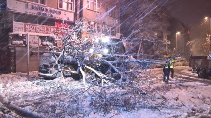 Kağıthane’de yoğun kar yağışı nedeniyle yol kenarındaki ağaç devrildi
