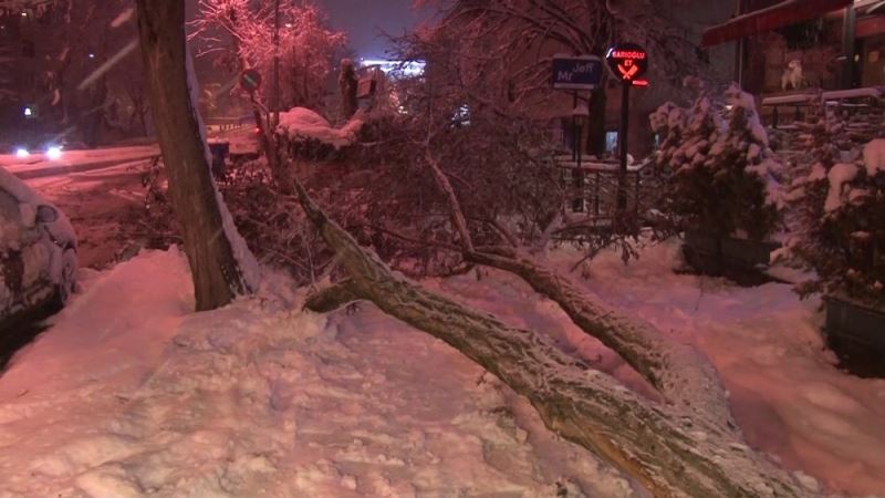 Anadolu Yakası’nda yoğun kar yağışından dolayı ağaçlar devrildi
