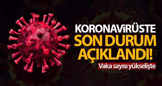  Türkiye’de son 24 saatte 8.104 koronavirüs vakası tespit edildi