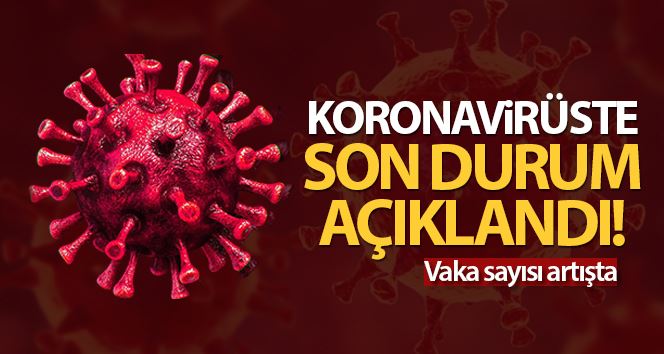  Türkiye’de son 24 saatte 9.572 koronavirüs vakası tespit edildi