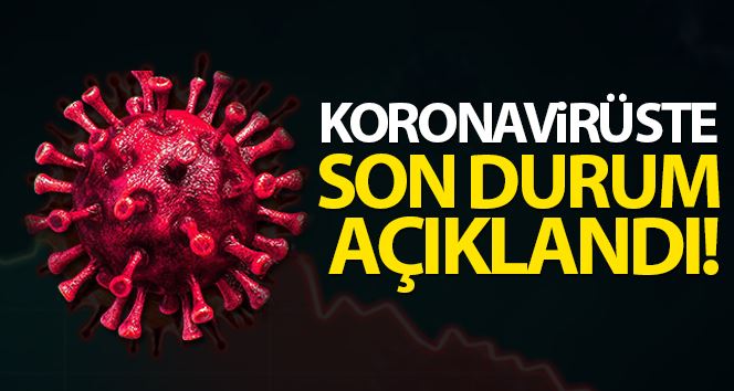  Türkiye’de son 24 saatte 7.909 koronavirüs vakası tespit edildi