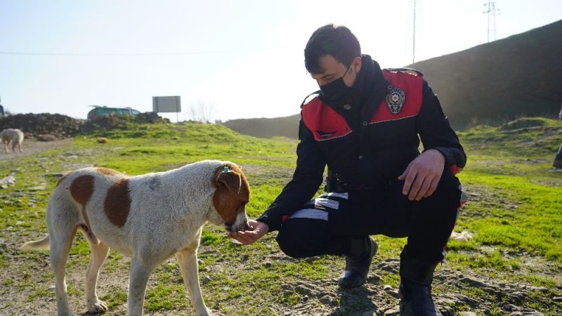 Polislerle sokak hayvanları arasındaki dostluk yürekleri ısıttı
